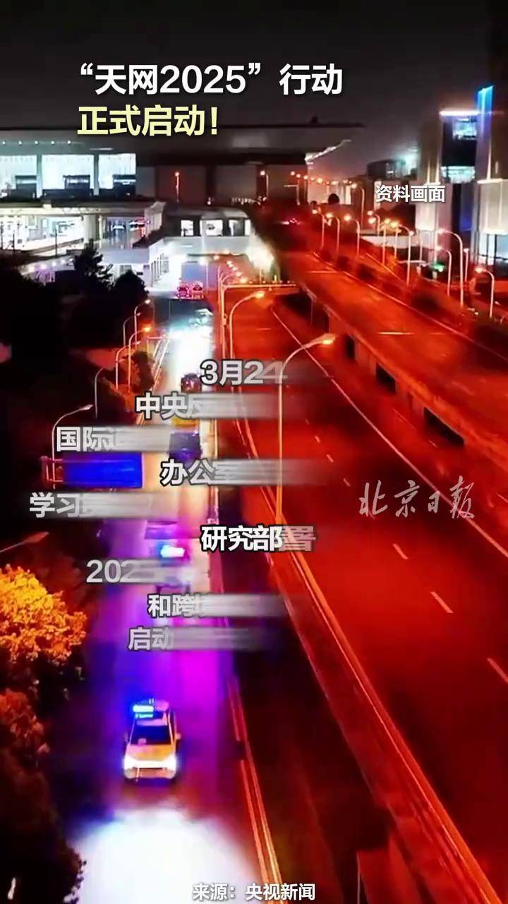 软件开发